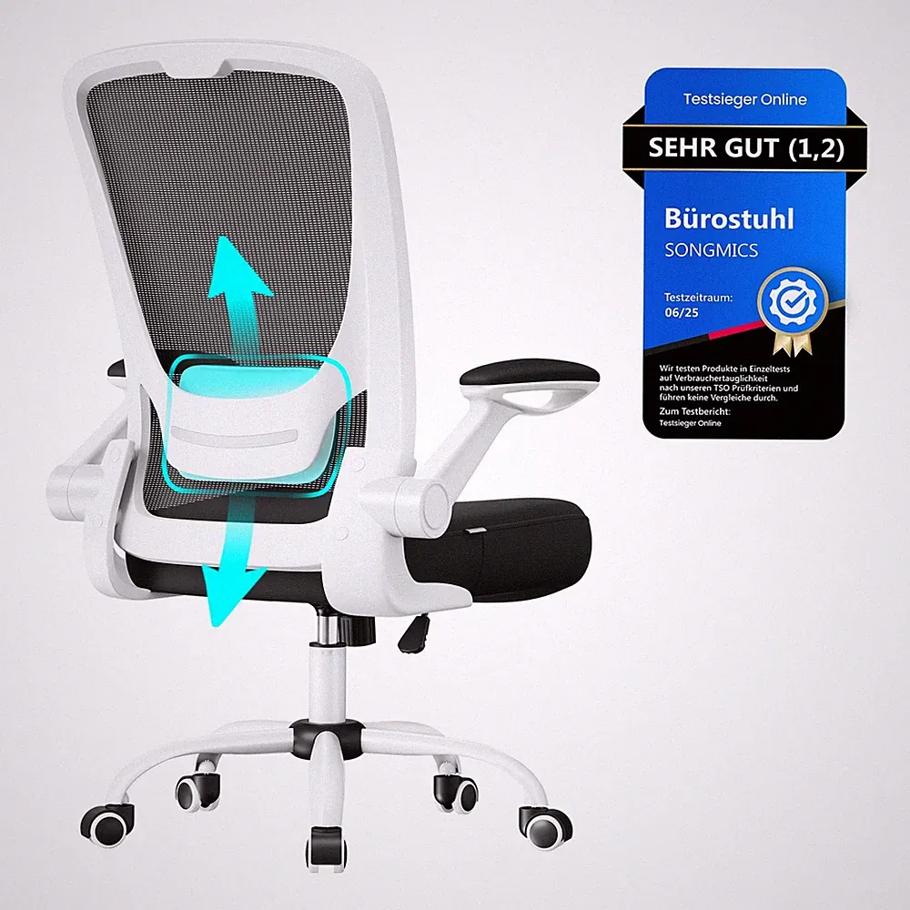 Bürostuhl ergonomisch, Drehstuhl mit Mesh, Lendenstütze, Wippfunktion, 53 cm...