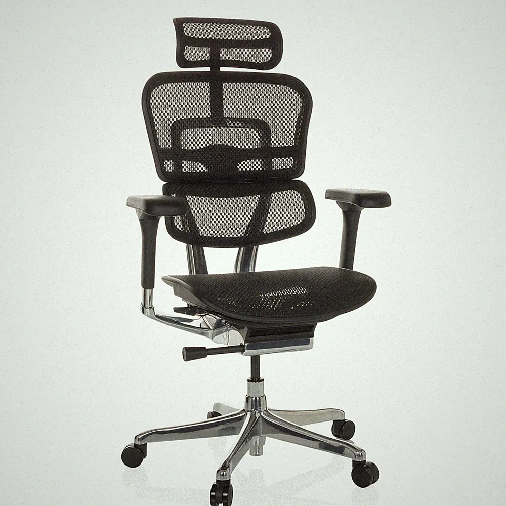 Chefsessel Bürostuhl ergonomisch Mesh ERGOHUMAN GEN2 Büro Drehstuhl hjh OFFICE