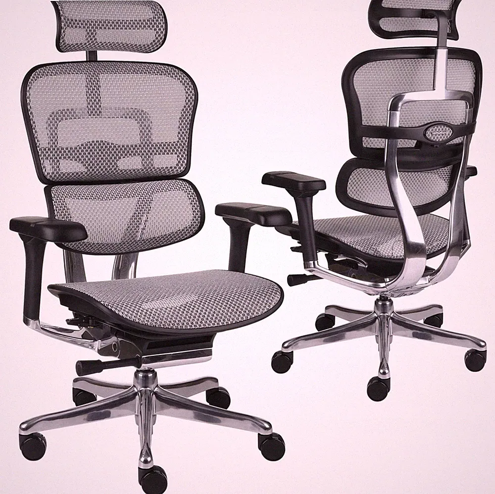 Ergohuman 2 Elite BS Grey Bürostuhl Netz Grau Ergonomisch 4 Monate alt