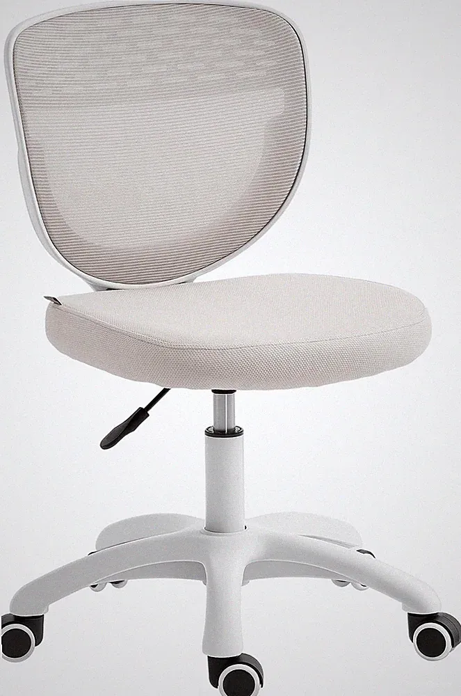 Ergonomischer Bürostuhl Armlos Atmungsaktiv Netzrücken Grau | Computer Schreibtischstuhl