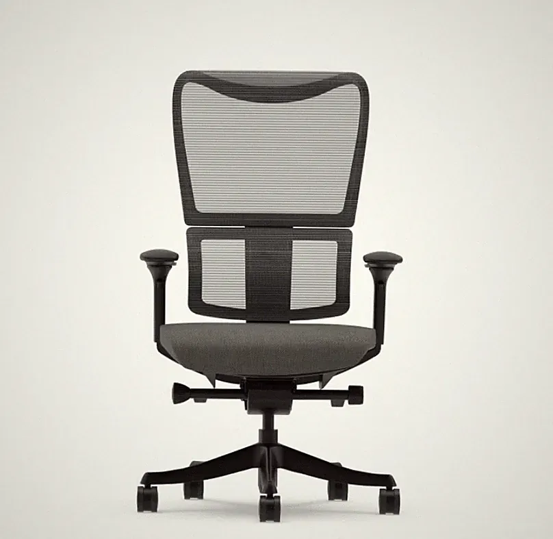 Ergonomischer Bürostuhl | Flexispot | Backsupport BS8 Pro | Neuwertig