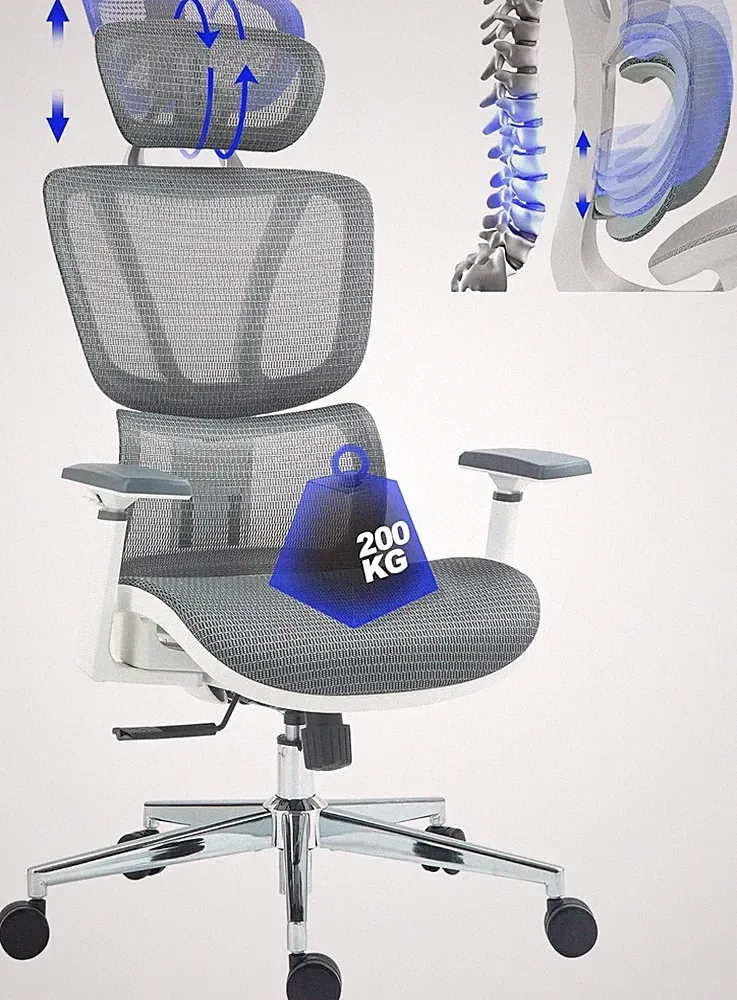 Ergonomischer Bürostuhl Kopfstütze Lendenwirbelstütze Armlehnen 3D 200KG Grau