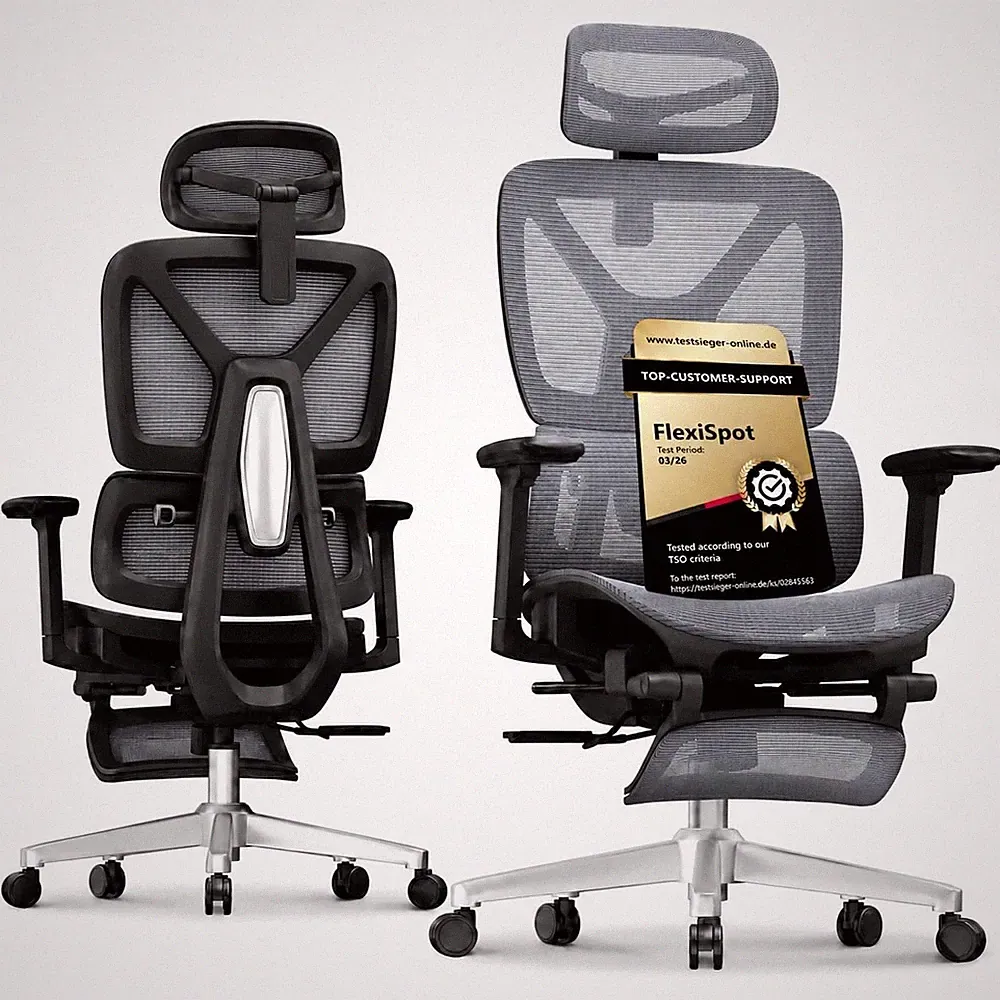 Ergonomischer Bürostuhl mit Fußstütze 3D Armlehnen Kopfstütze Grau Flexispot