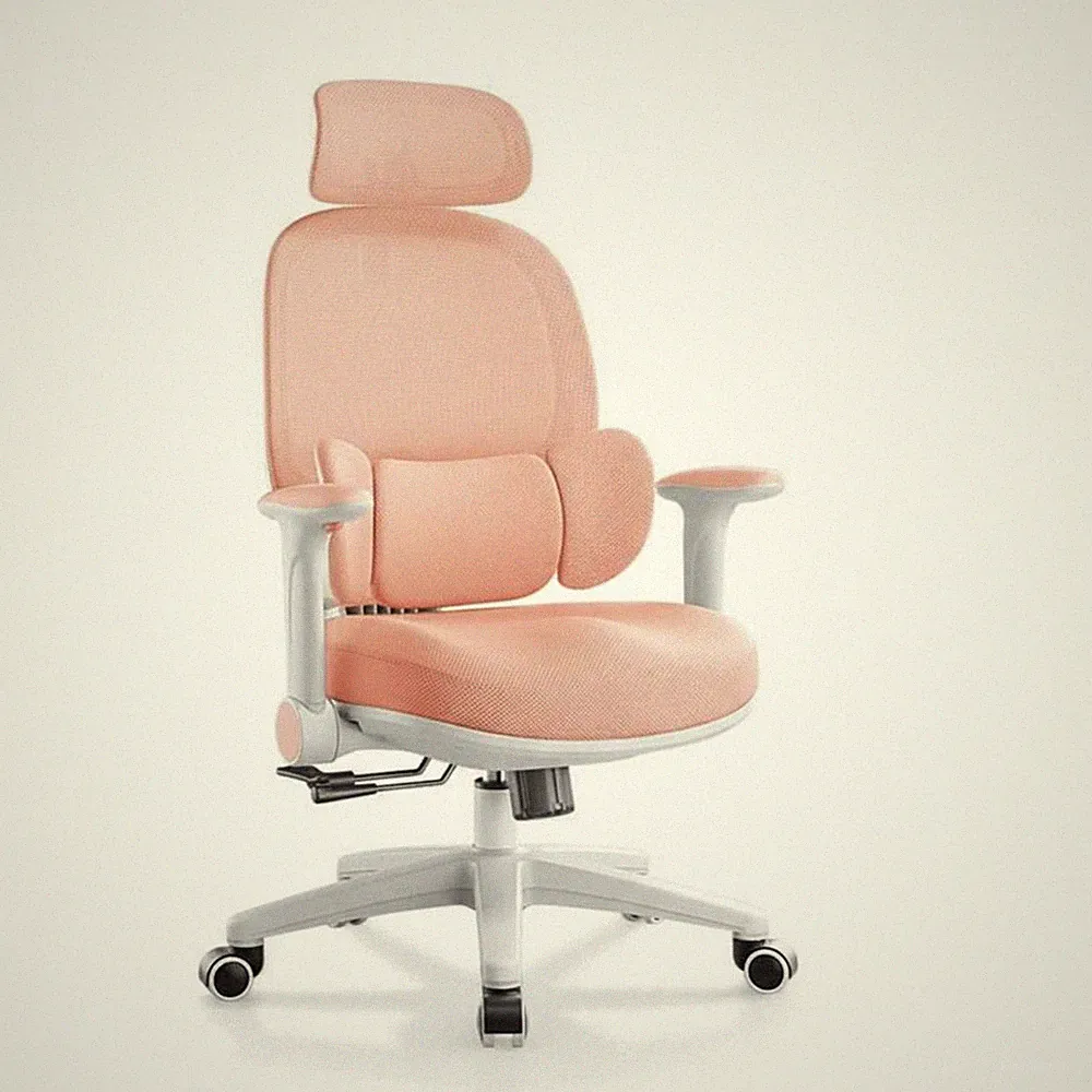 Ergonomischer Stuhl mit Lordosenstütze Ergonomisch für Büro, Home-Office-Nutzer