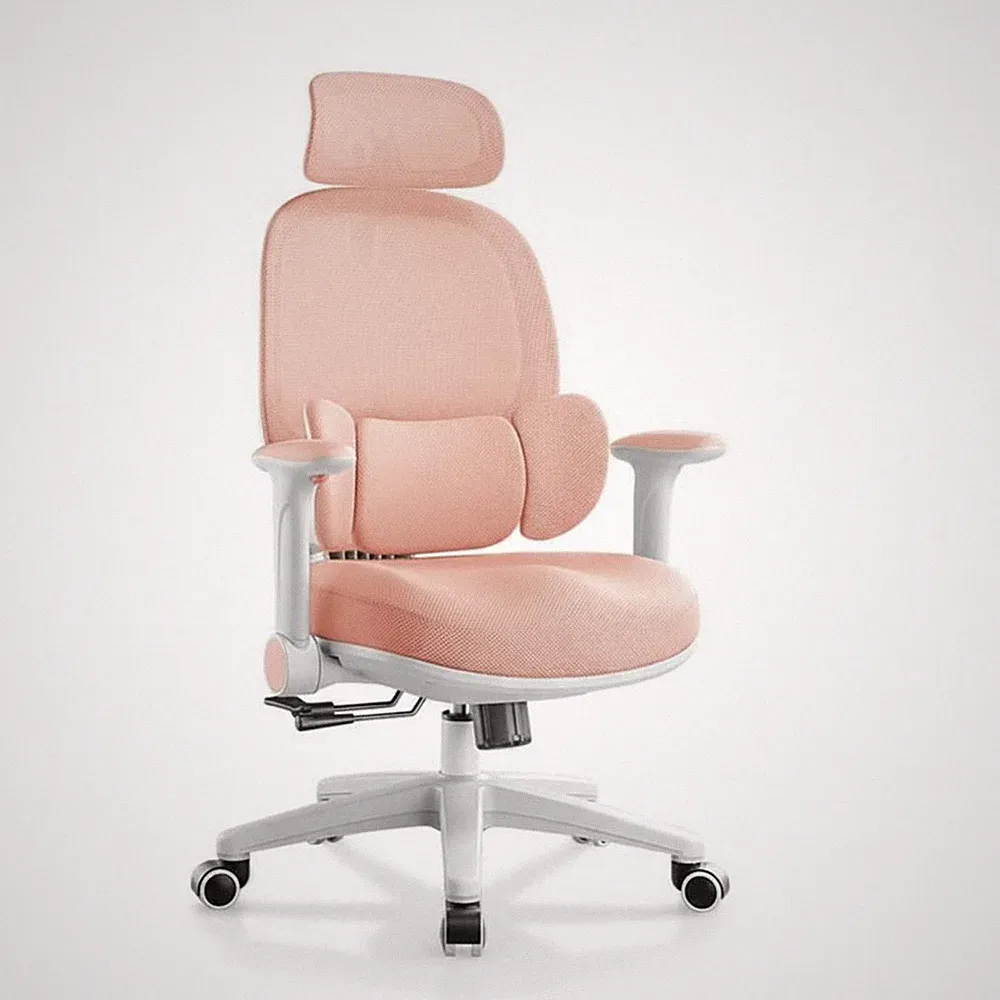 Ergonomischer Stuhl mit Lordosenstütze Ergonomisch für Home Office, Büro