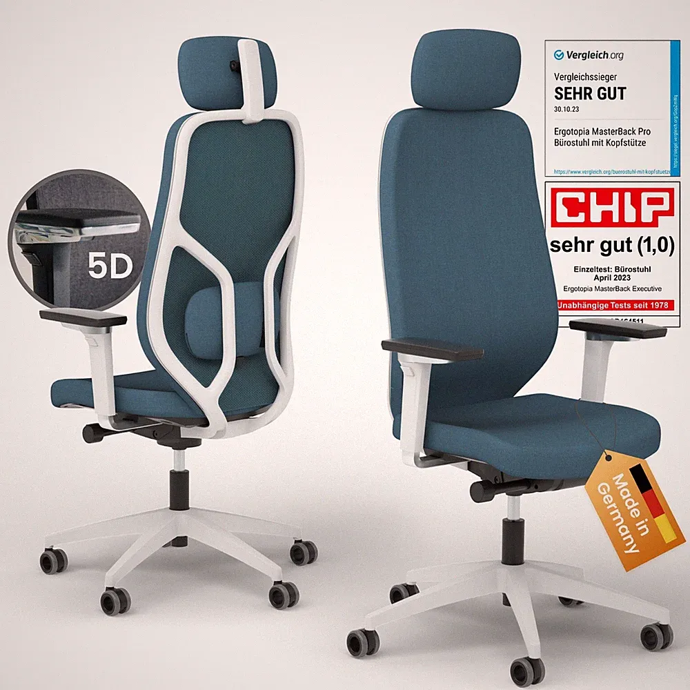 Ergotopia MasterBack ergonomischer Bürostuhl Schreibtischstuhl - B-WARE