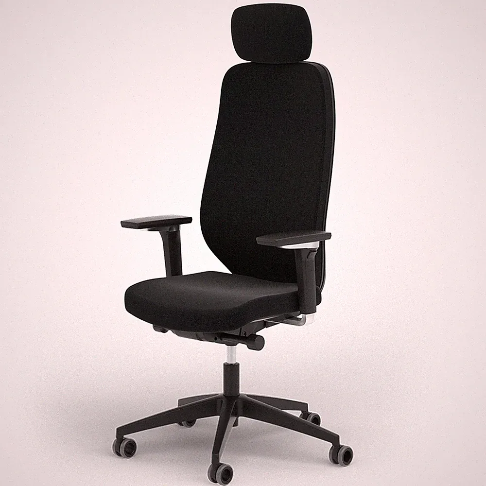 Ergotopia MasterBack ergonomischer Bürostuhl Schreibtischstuhl ergonomisch