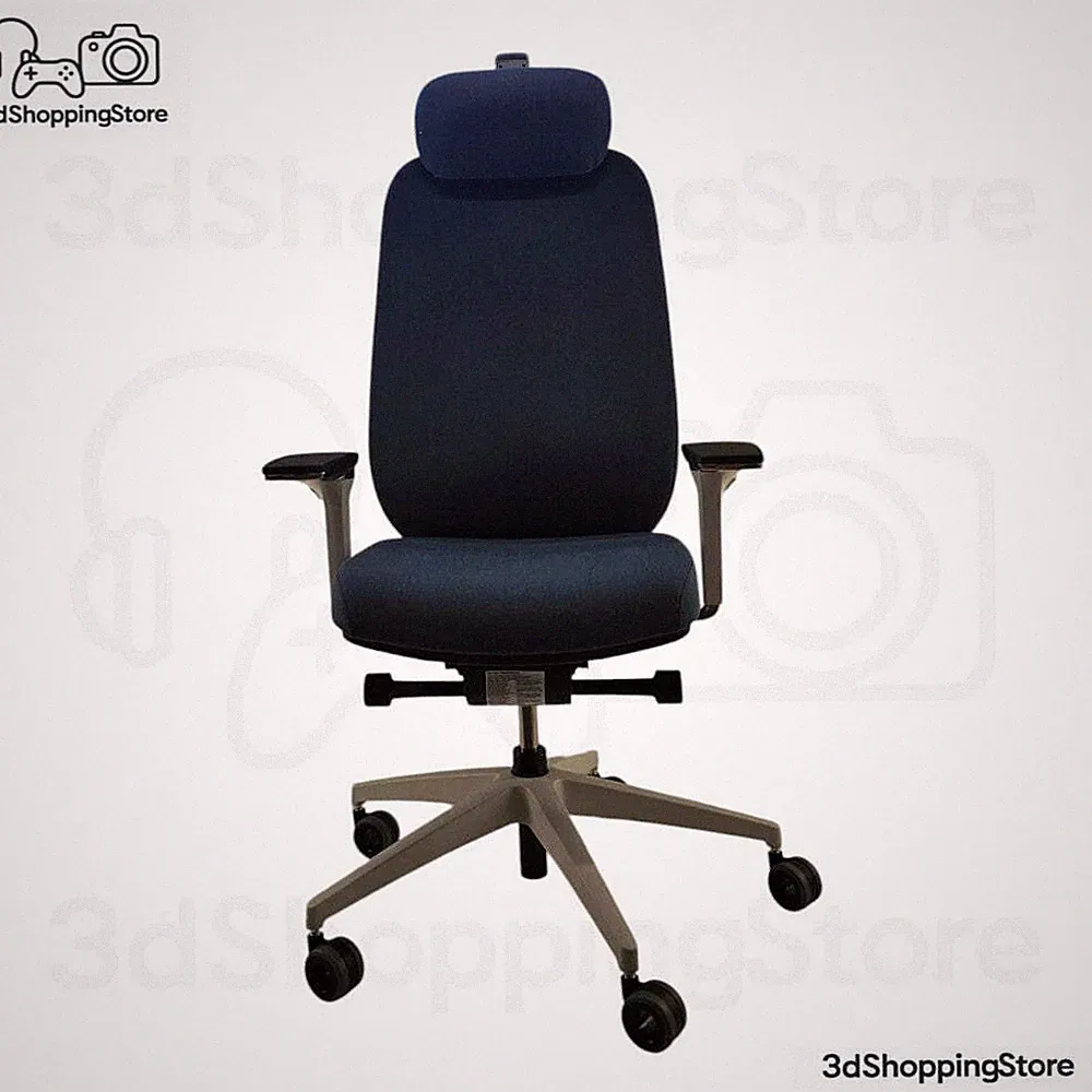 Ergotopia MasterBack Pro ergonomischer Bürostuhl mit Kopfstütze Blau