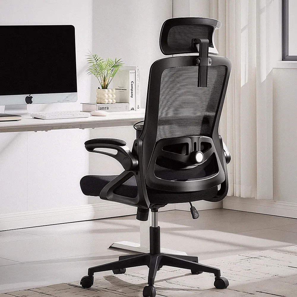 Fizzin Ergonomischer Bürostuhl Schwarz mit Verstellbarer Lendenstütze 180kg