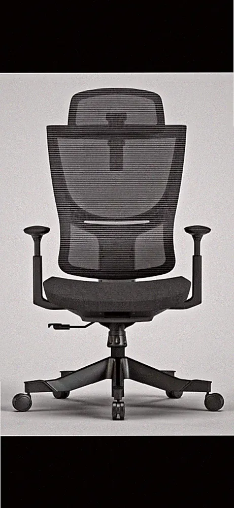 Flexi-Chair Ergonomischer Bürostuhl BS8 Schwarz