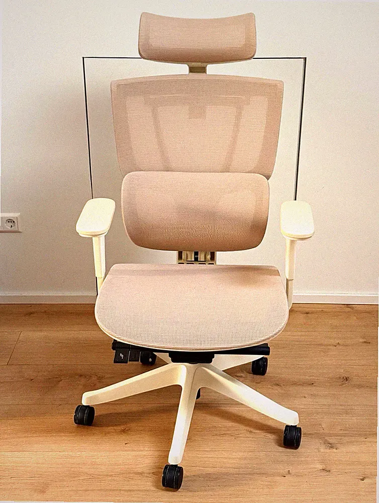 FlexiSpot ergonomischer Bürodrehstuhl Mesh apricot mit Kopfstütze, Armlehnen
