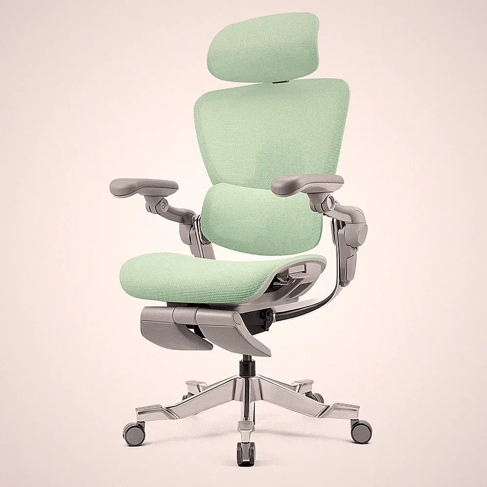 Hinomi H2 Pro Ergonomischer Bürostuhl Netzrücken Lordosenstütze Neigung Verstellbar