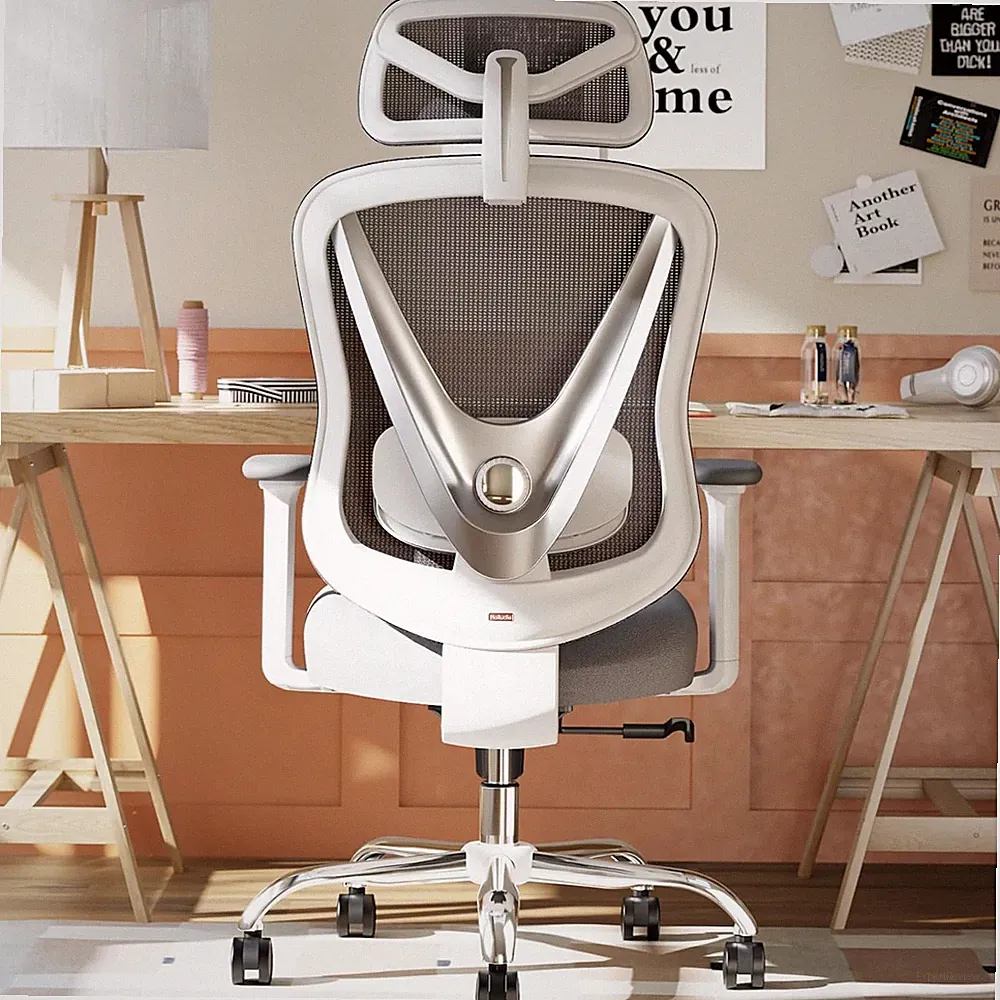 HOLLUDLE Ergonomischer Bürostuhl Mit 3D Lendenstütze & 3D Verstellbaren Armlehne