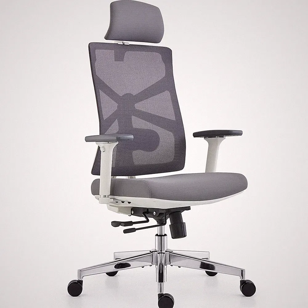 HOLLUDLE Ergonomischer Bürostuhl mit Adaptiver Rückenlehne, Schreibtischstuhl
