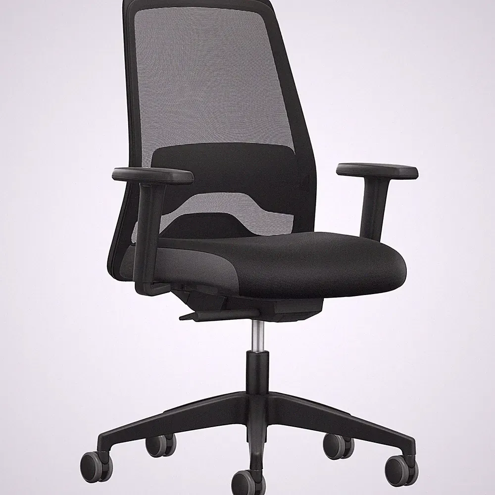 Interstuhl ergonomischer Bürostuhl Every EV25R 2D Armlehnen, bis 120kg, schwarz