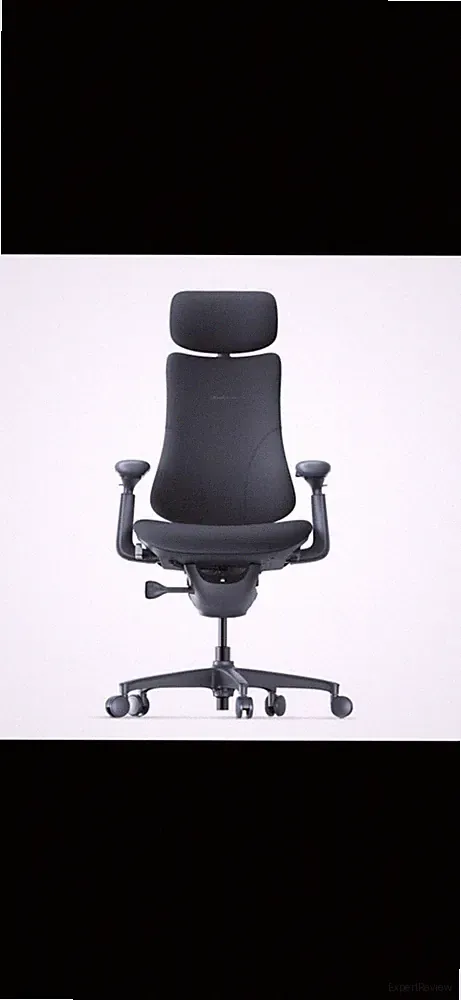 LiberNovo Omni Pro OC1-PRO Dynamic Ergonomischer Stuhl - Graphit