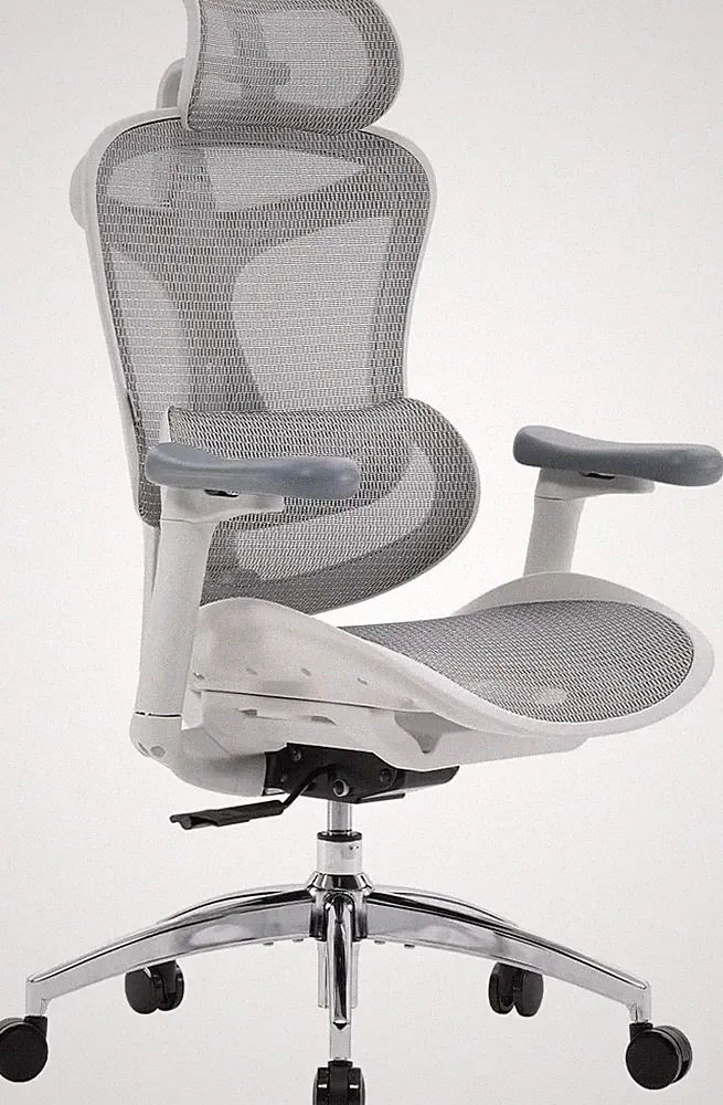 SIHOO Doro C300 Ergonomischer Bürostuhl mit dynamischer Lordosenstütze