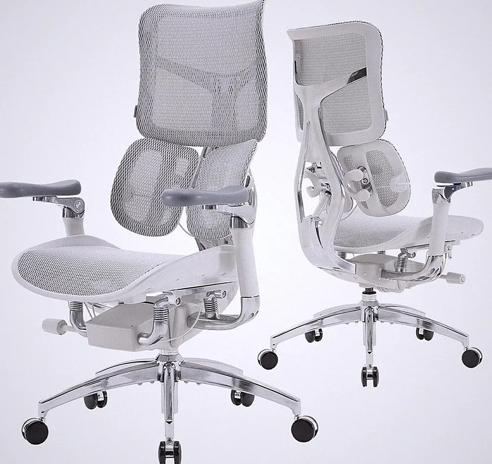 SIHOO Doro S300 Ergonomischer Bürostuhl mit dynamischem Lendenwirbelstützsystem