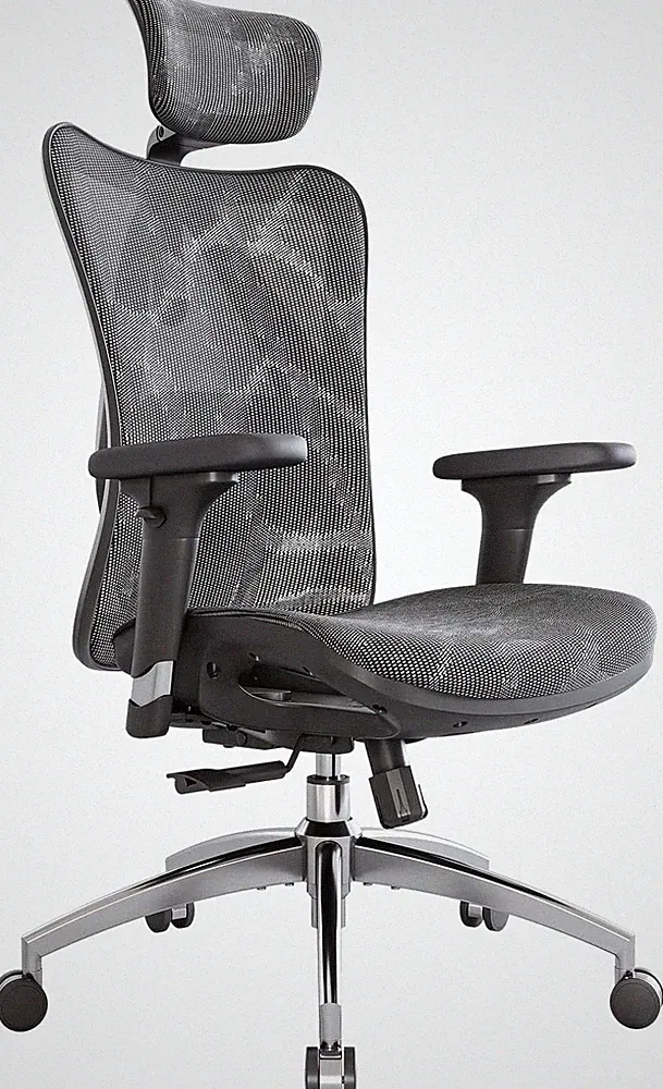 SIHOO Ergonomischer Bürostuhl, Chefsessel Mit 3D Verstellbare Armlehne Und Lende