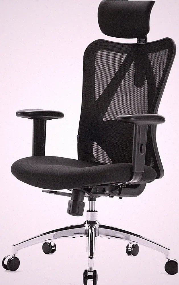 Sihoo M18 Ergonomischer Bürostuhl mit hoher Rückenstütze, Mit Lendenwirbelstütze
