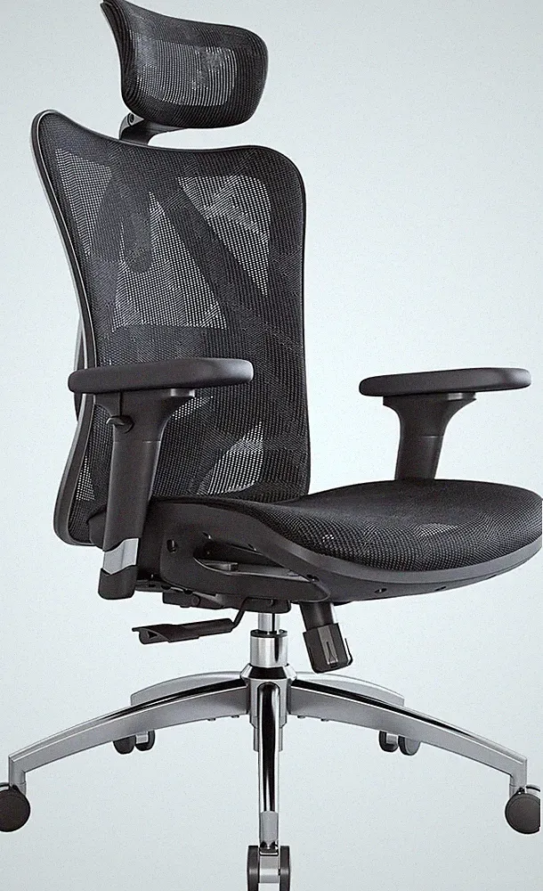 SIHOO M57 Ergonomischer Bürostuhl, Chefsessel Mit 3D Verstellbare Armlehne Und L