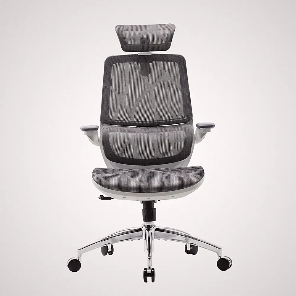 SIHOO M59AS Ergonomische Bürostuhl mit-3D Hebelfüßen, doppelter Rückenstütze