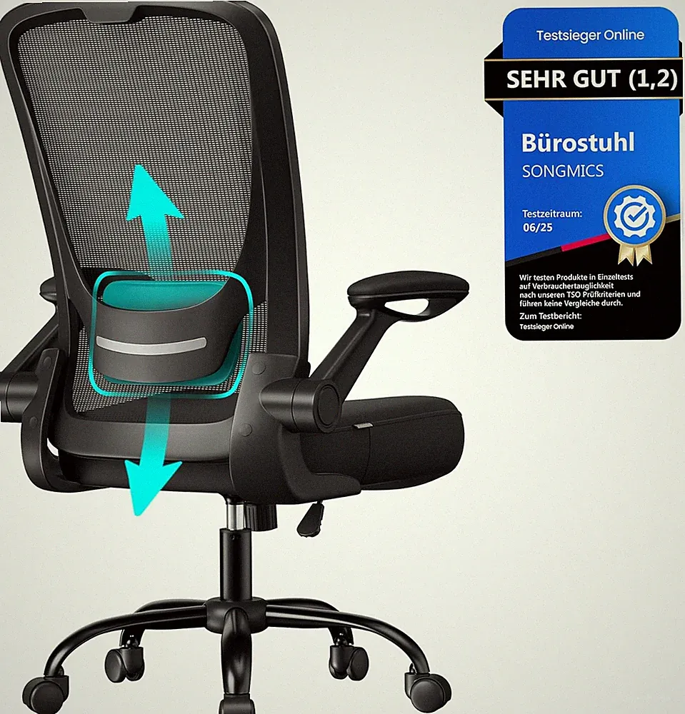 SONGMICS Bürostuhl Ergonomisch, Drehstuhl Mit Mesh, Lenden- Und Kopfstütze, Wipp