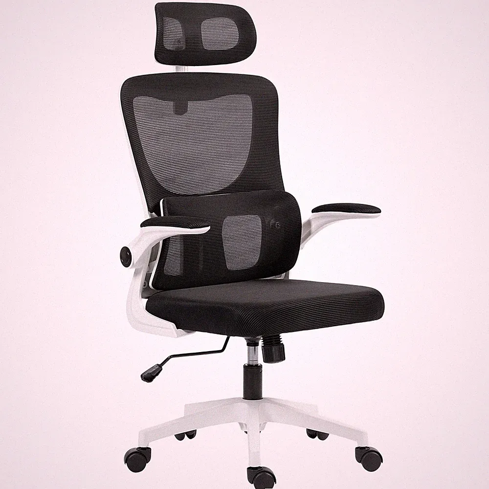 Ergonomische Bürostühle mit Lordosestütze
