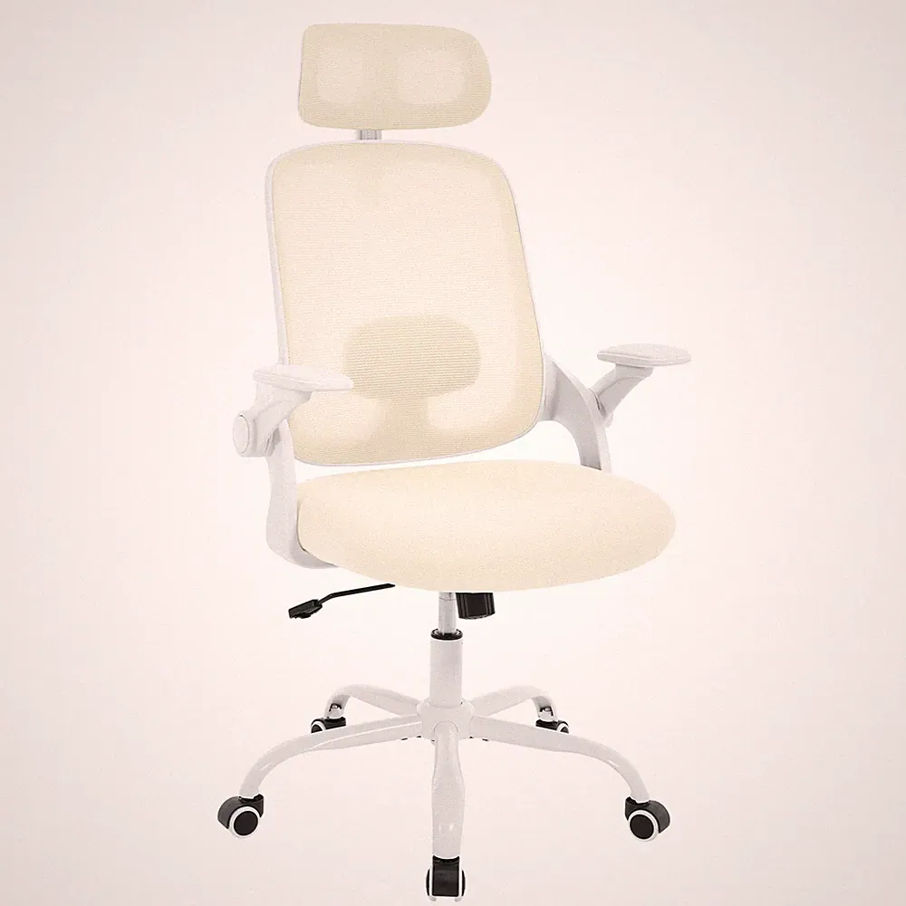 WOLTU Bürostuhl ergonomisch Schreibtischstuhl drehbar Chefsessel mit Kopfstütze